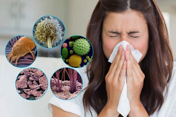 Как эффективно вылечить аллергию?